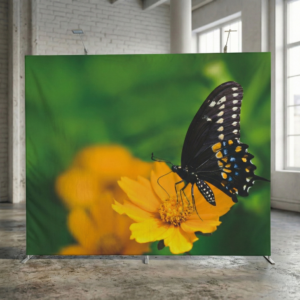 Fondale configurabile easyframe