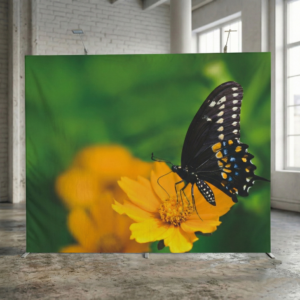 fondale configurabile portatile easyframe