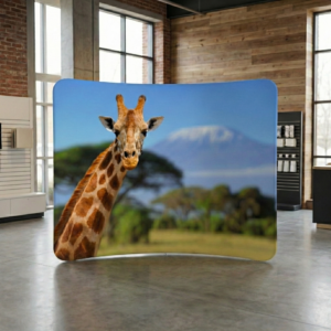 fondale portatile etendard curvo