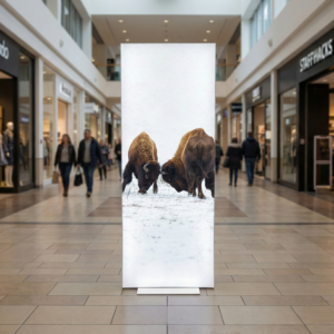 totem retroilluminato fishbed