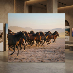 fondale portatile foxbat