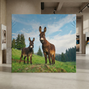 fondale portatile lancaster