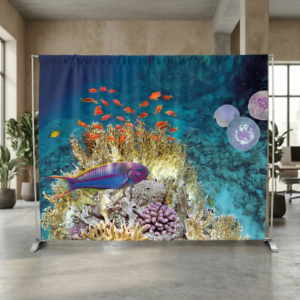 fondale portatile stirling 