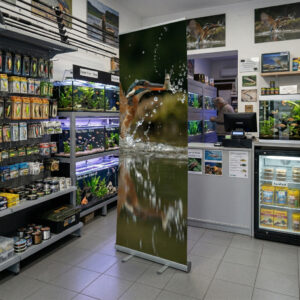 roll up alto 3 metri wildcat