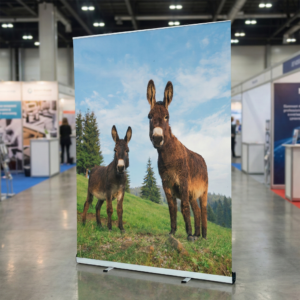 rollup grande wildcat