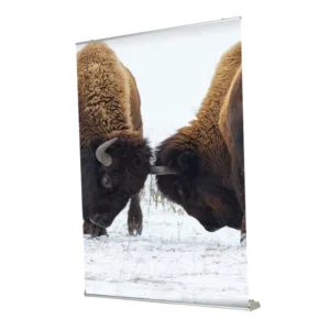 roll up buffalo grande